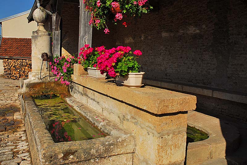FONTAINE RONDE ET LAVOIR DE TERNAT, Ternat - photo 5