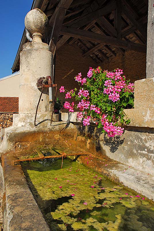 FONTAINE RONDE ET LAVOIR DE TERNAT, Ternat - photo 11