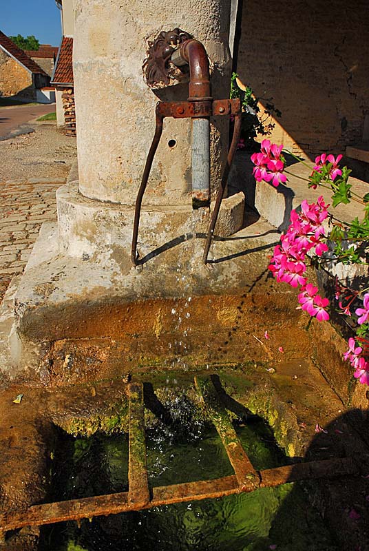 FONTAINE RONDE ET LAVOIR DE TERNAT, Ternat - photo 15
