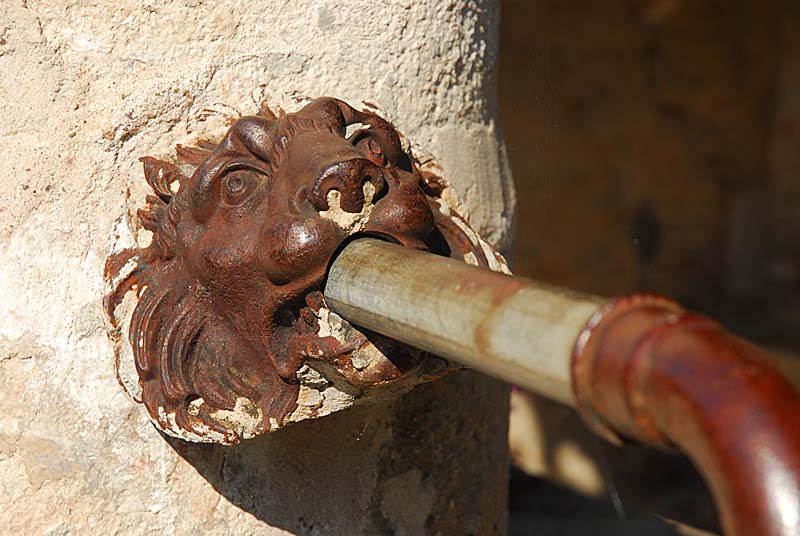 FONTAINE RONDE ET LAVOIR DE TERNAT, Ternat - photo 12