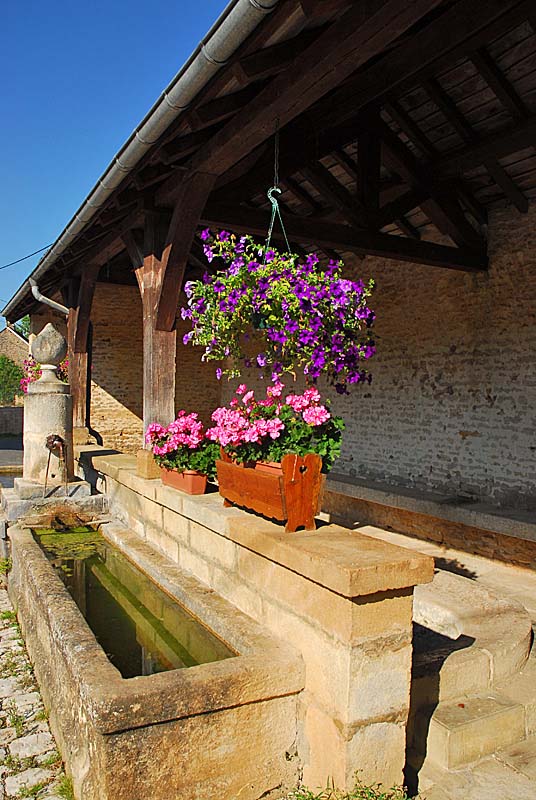 FONTAINE RONDE ET LAVOIR DE TERNAT, Ternat - photo 9