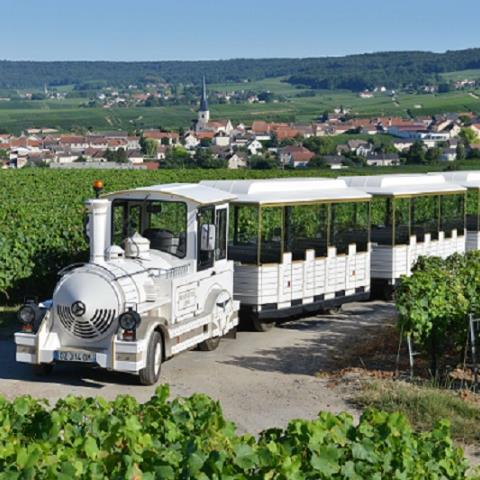 Le-Petit-Train-des-Vignobles-de-Champagne---photo-Michel-Jolyot--24--5