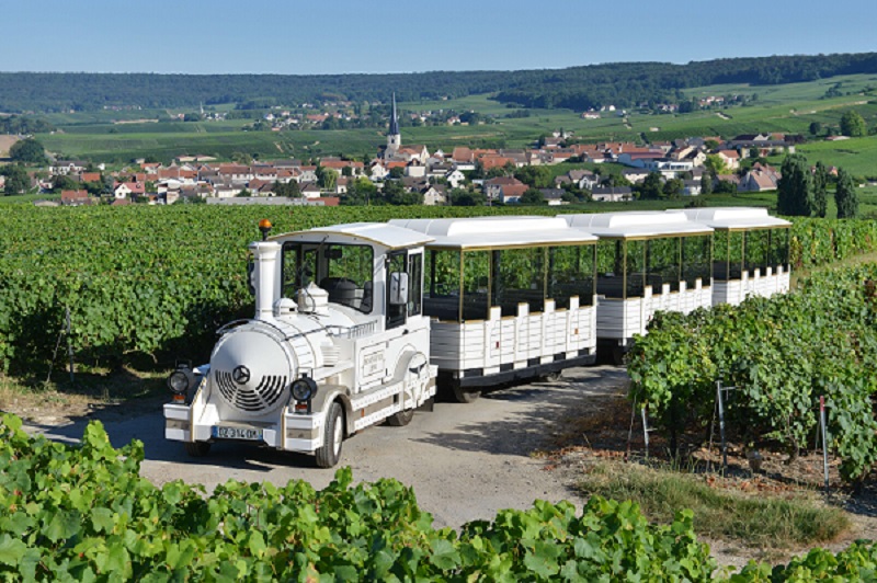 Le-Petit-Train-des-Vignobles-de-Champagne---photo-Michel-Jolyot--24--5