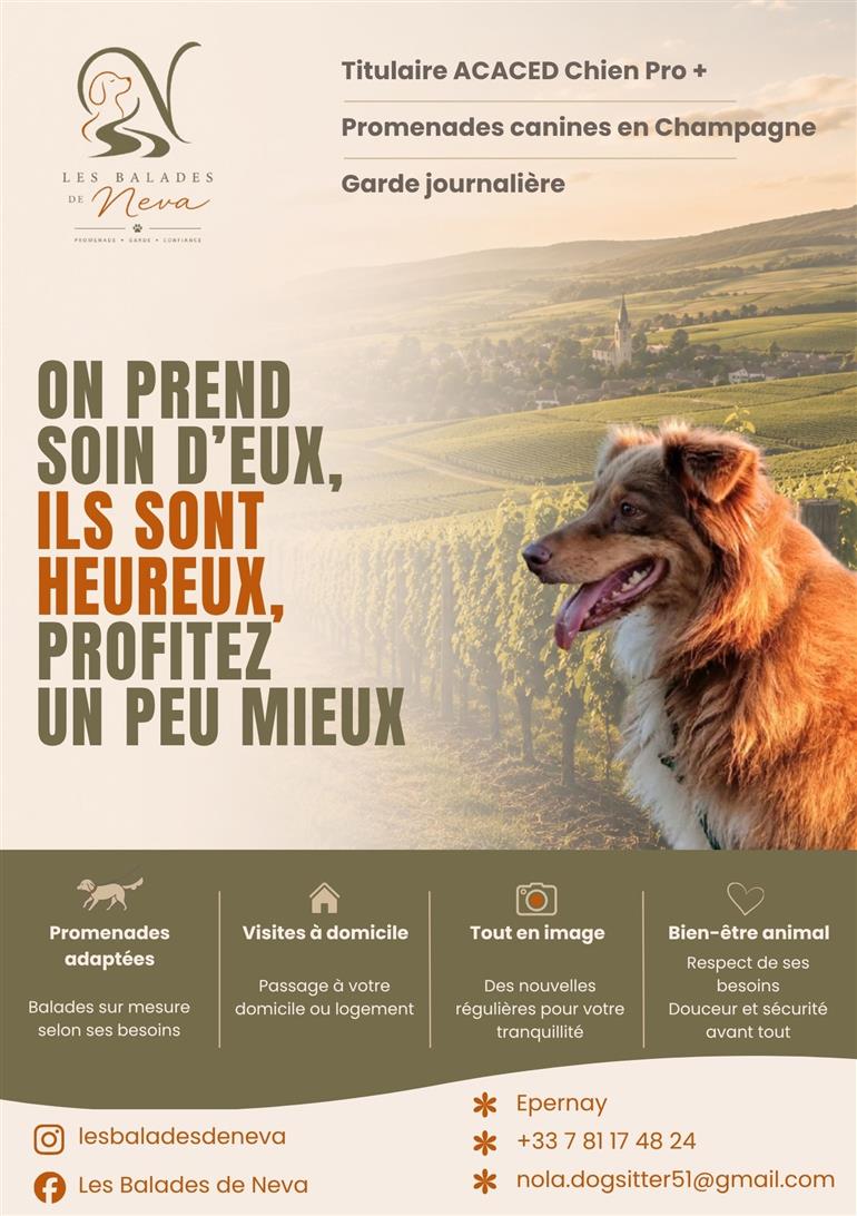 FLYER LES BALADES DE NEVA - 1