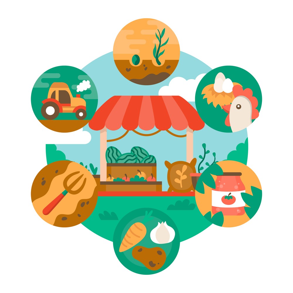 Les maillons du local