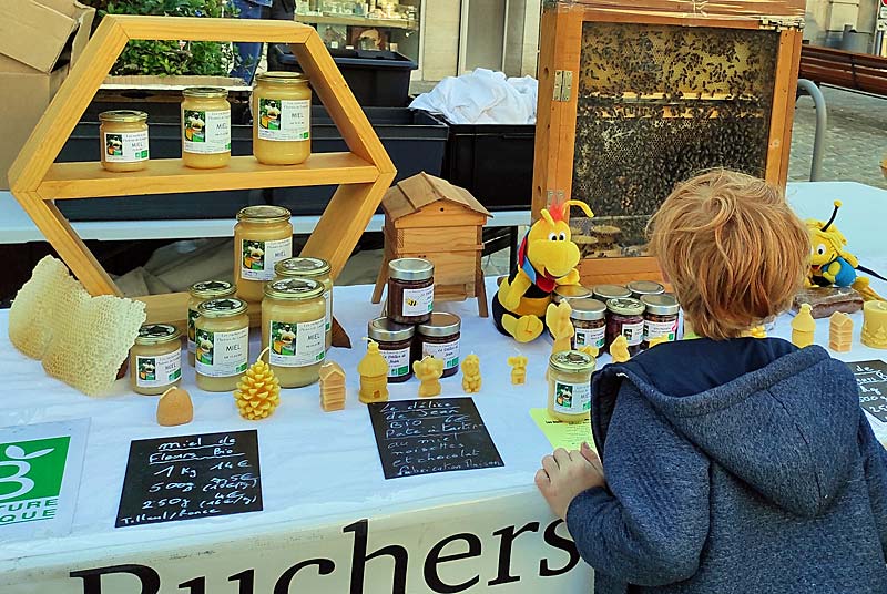 LES RUCHERS DU PLATEAU DE LANGRES