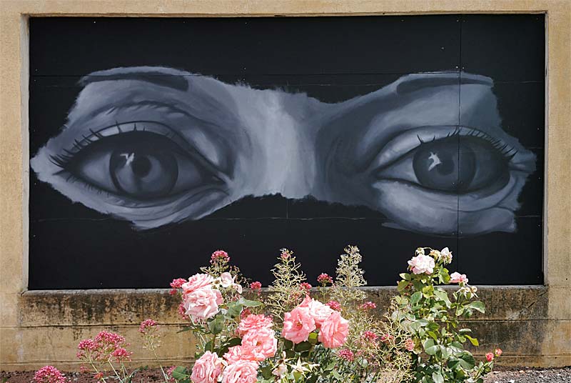 LES YEUX DE LAURETTE, Villegusien-le-Lac - photo 4