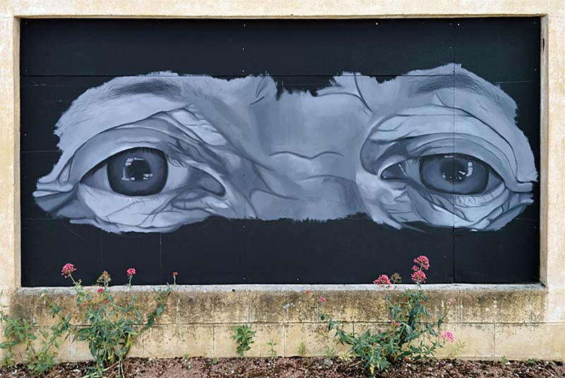 LES YEUX DE LAURETTE