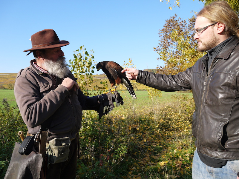 Libre Maquis - Promenade avec Rapaces -Belval-sous-Chatillon