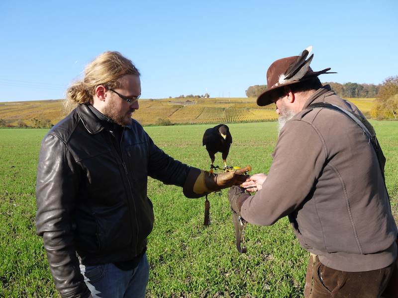 Libre Maquis - Promenade avec Rapaces -Belval-sous-Chatillon