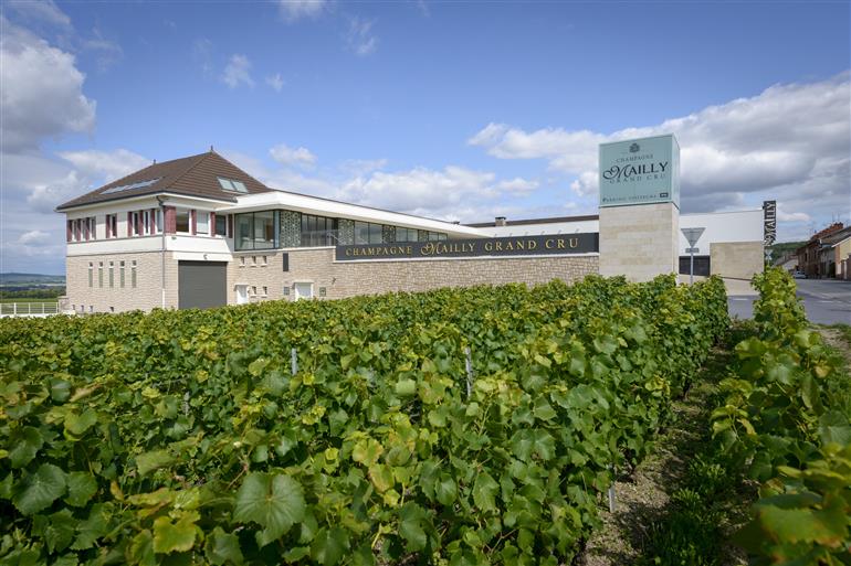 Mailly_grand_cru-© Fred Laures