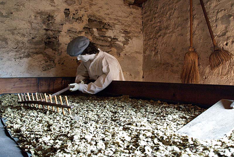 LA MAISON DU HOUBLON, Rivière-les-Fosses - photo 7