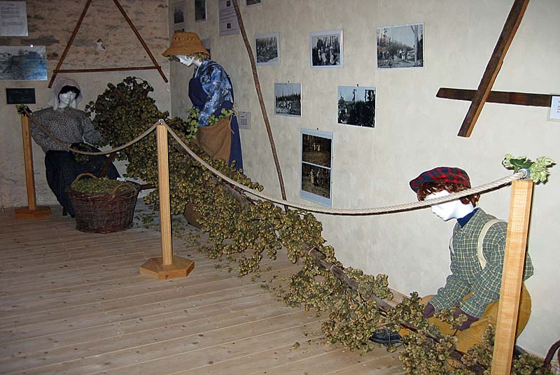 LA MAISON DU HOUBLON, Rivière-les-Fosses - photo 2