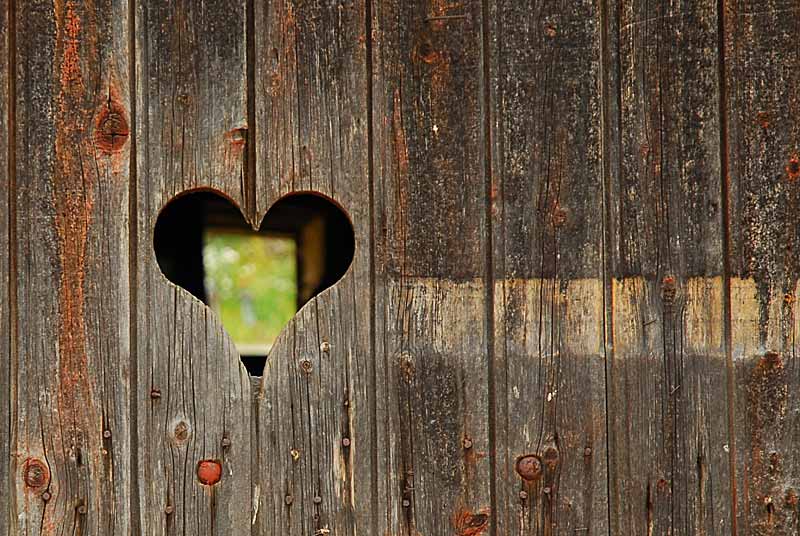 ANCIENNE MAISON DE VIGNERON, Orcevaux - photo 4