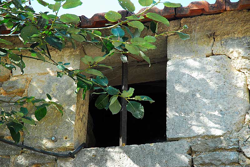 MAISONNETTE A VILLEMERVRY, Vals-des-Tilles