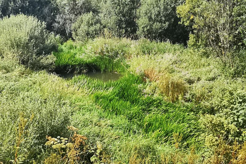 Marais du Comet