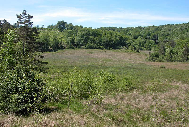LE MARAIS VAUCHER, Germaines - photo 3
