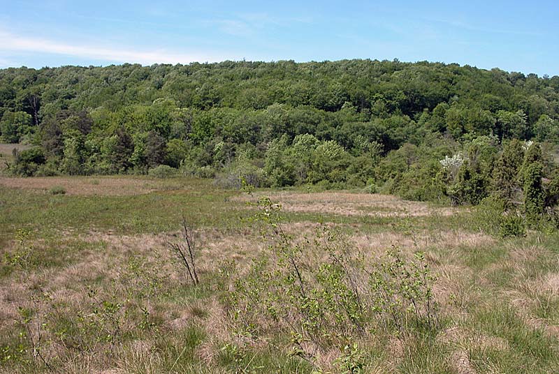 LE MARAIS VAUCHER, Germaines