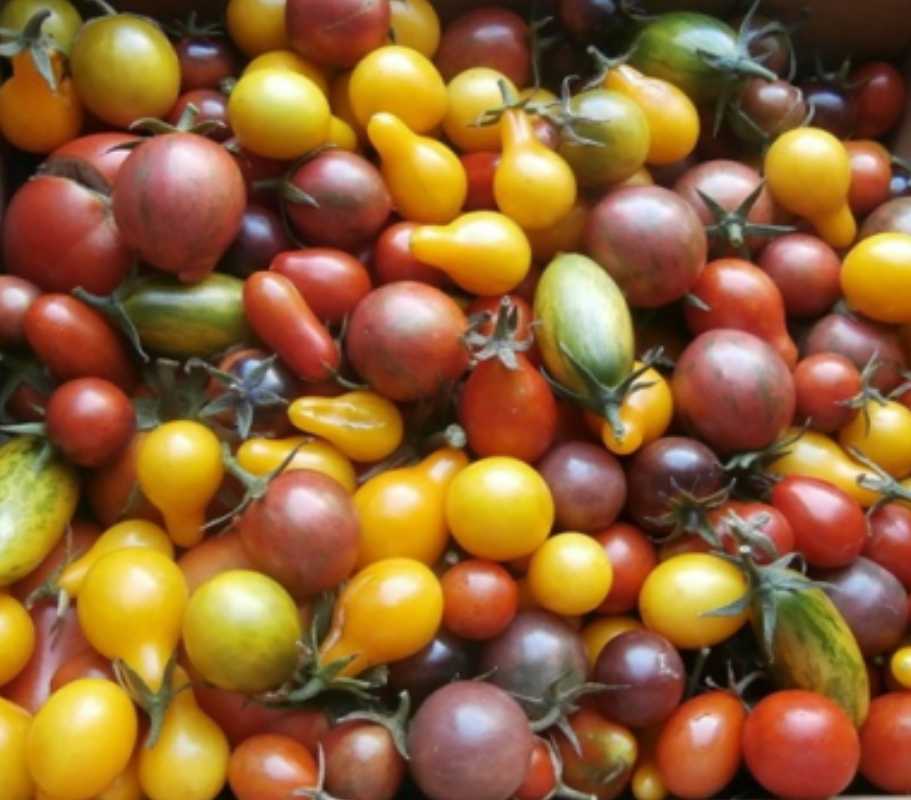 MARCHE PRODUITS LOCAUX - LE PETIT MARCHE VARENNAIS - LAFERTE-SUR-AMANCE