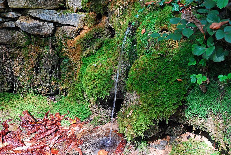 SITE DU MAUSOLEE GALLO-ROMAIN DE FAVEROLLES, Faverolles - photo 5