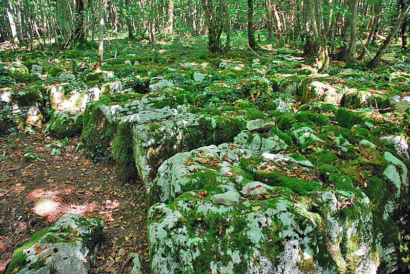 SITE DU MAUSOLEE GALLO-ROMAIN DE FAVEROLLES, Faverolles - photo 6