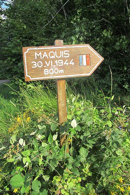 MAQUIS DE VOISINES, Voisines - photo 2