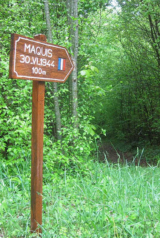 MAQUIS DE VOISINES, Voisines