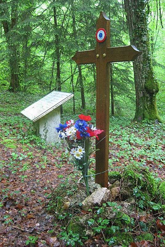 MAQUIS DE VOISINES, Voisines - photo 5