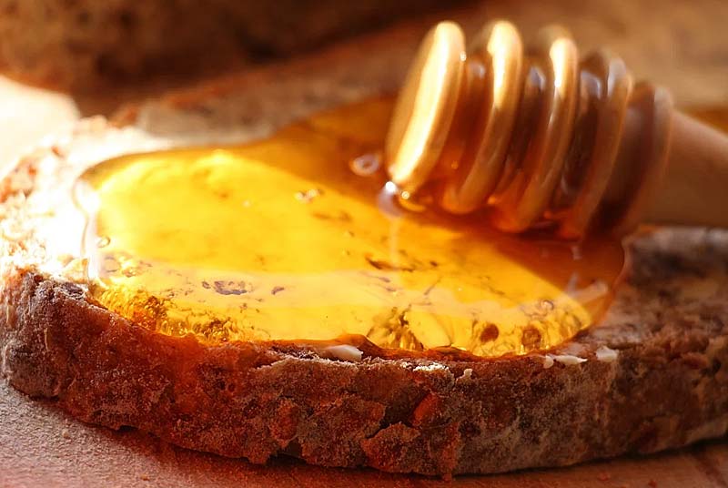 NICOLAS MOREL APICULTEUR