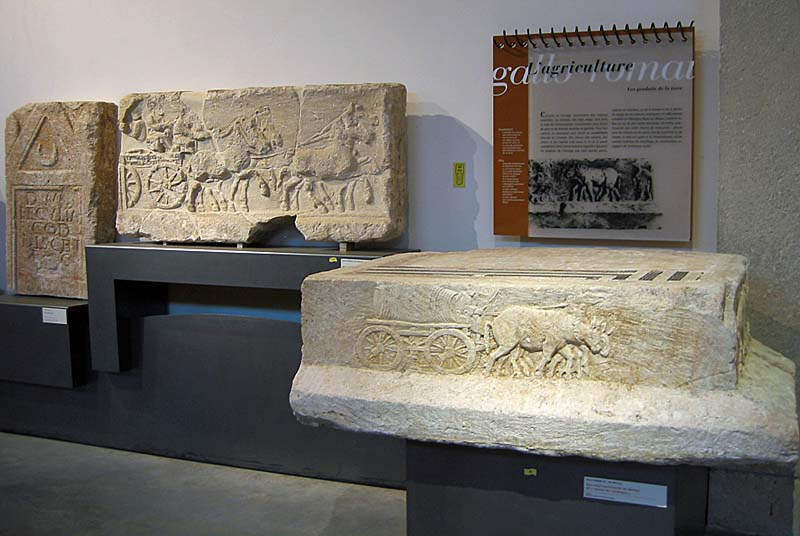 Musée d'Art et d'Histoire de Langres