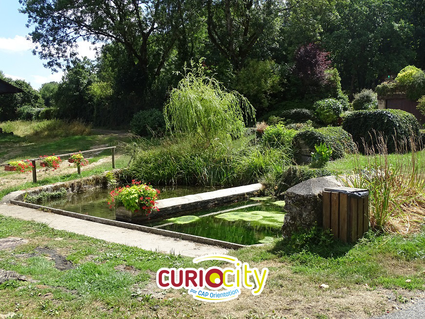 Curiocity - Orbais l'Abbaye