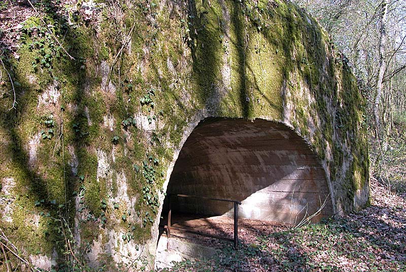 Ouvrage de Noidant-le-Rocheux, Noidant-le-Rocheux - photo 8