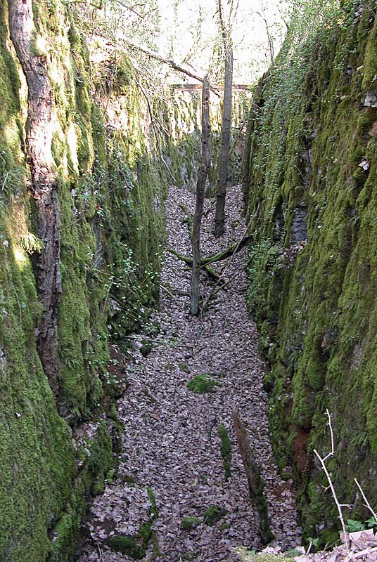Ouvrage de Noidant-le-Rocheux, Noidant-le-Rocheux - photo 19