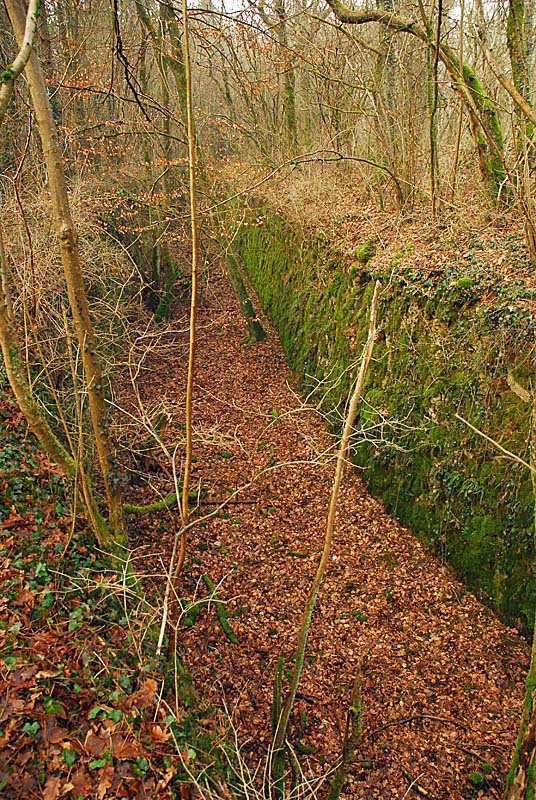 Ouvrage du bois de Champigny, Saints-Geosmes - photo 20