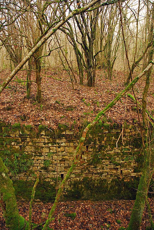 Ouvrage du bois de Champigny, Saints-Geosmes - photo 21