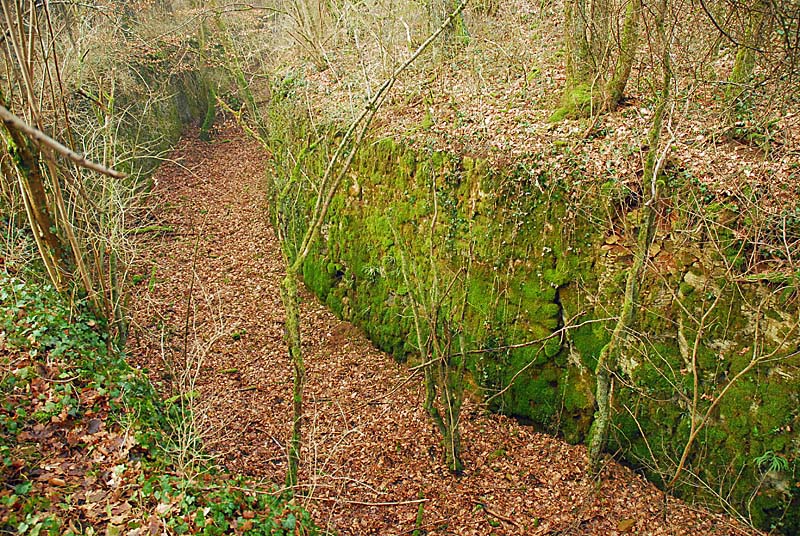 Ouvrage du bois de Champigny, Saints-Geosmes - photo 17