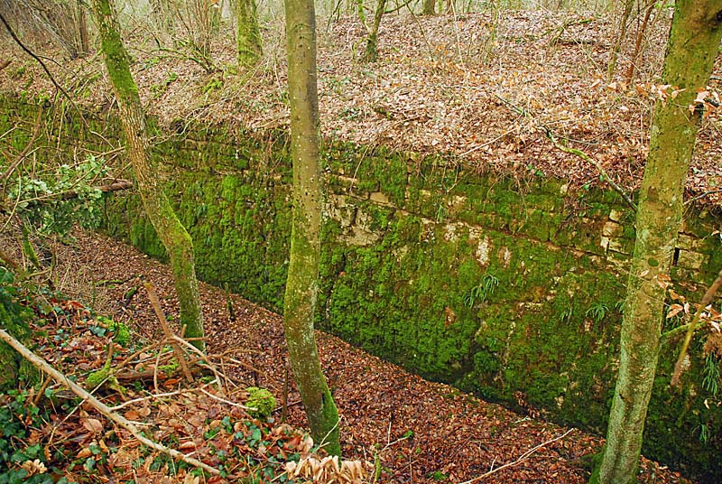 Ouvrage du bois de Champigny, Saints-Geosmes - photo 46