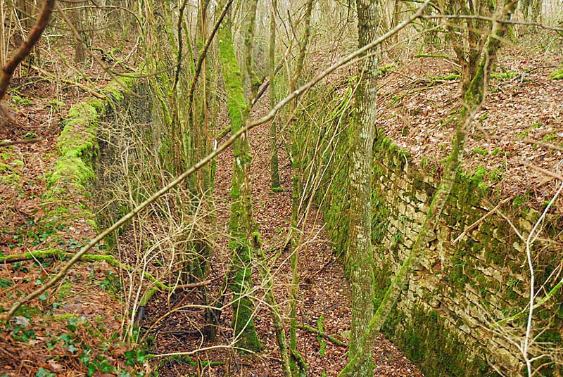 Ouvrage du bois de Champigny, Saints-Geosmes - photo 25