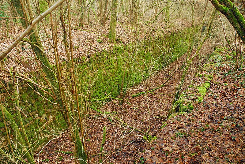 Ouvrage du bois de Champigny, Saints-Geosmes - photo 12