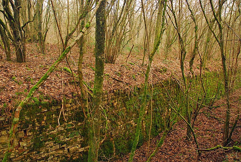 Ouvrage du bois de Champigny, Saints-Geosmes - photo 4