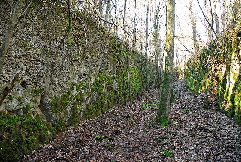 Ouvrage du bois de Champigny, Saints-Geosmes - photo 16