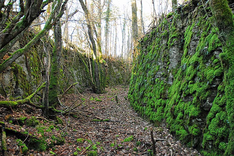 Ouvrage du bois de Champigny, Saints-Geosmes - photo 49
