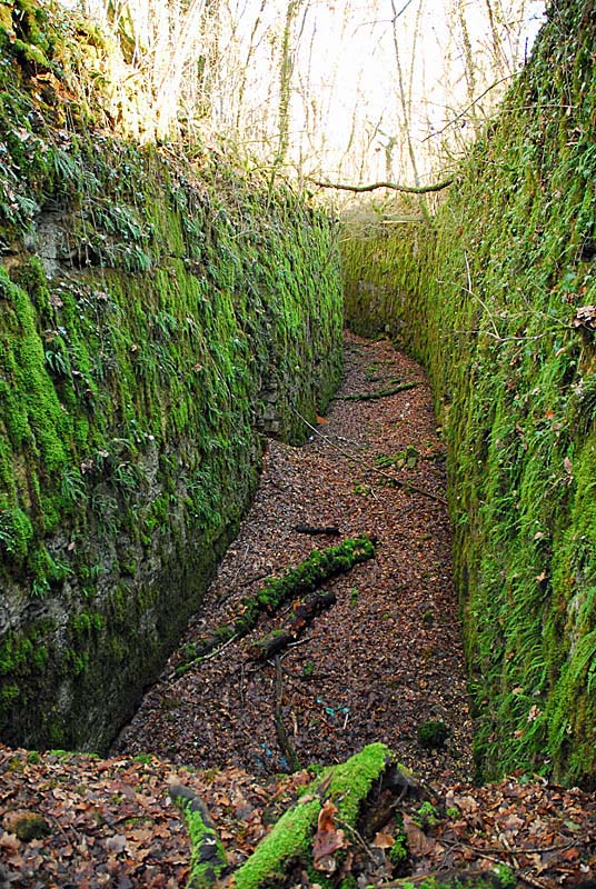 Ouvrage du bois de Champigny, Saints-Geosmes - photo 53