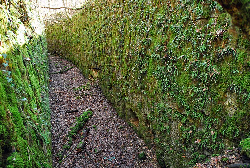 Ouvrage du bois de Champigny, Saints-Geosmes - photo 22