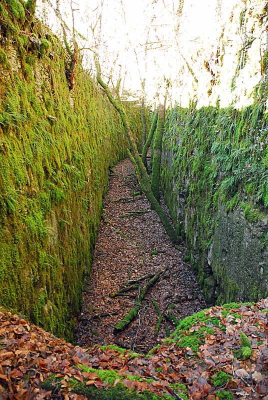 Ouvrage du bois de Champigny, Saints-Geosmes - photo 15