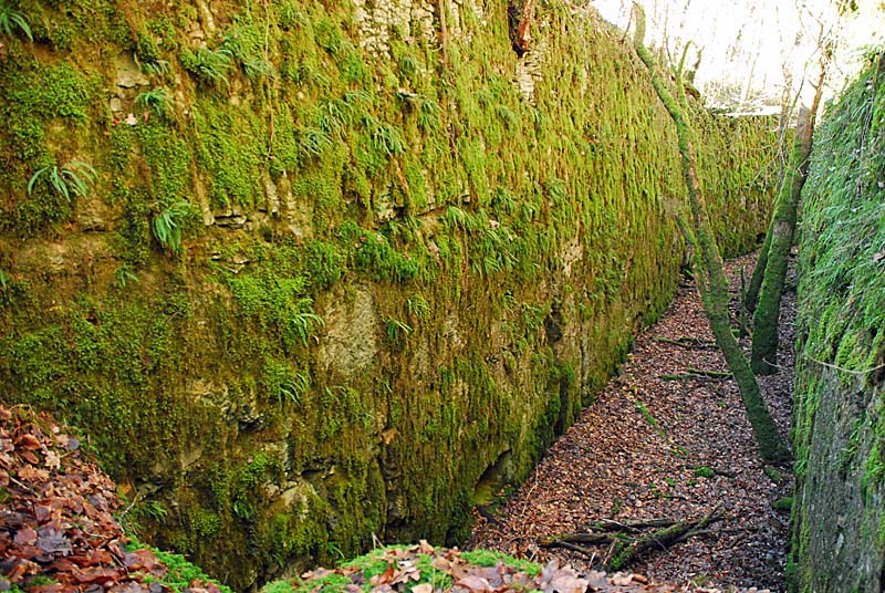 Ouvrage du bois de Champigny, Saints-Geosmes - photo 5