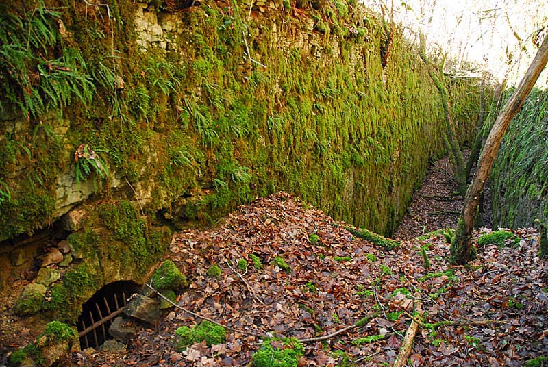 Ouvrage du bois de Champigny, Saints-Geosmes - photo 2