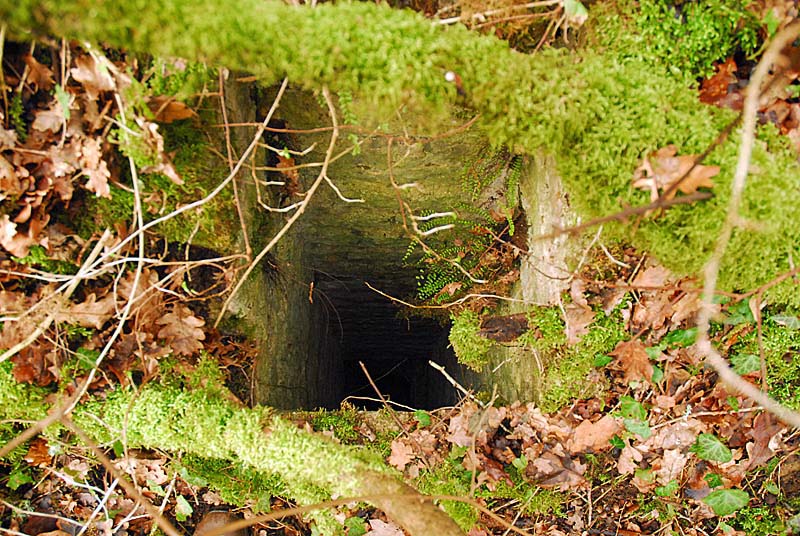 Ouvrage du bois de Champigny, Saints-Geosmes - photo 30