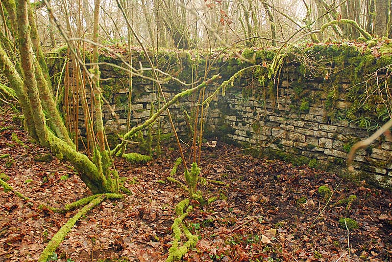Ouvrage du bois de Champigny, Saints-Geosmes - photo 41
