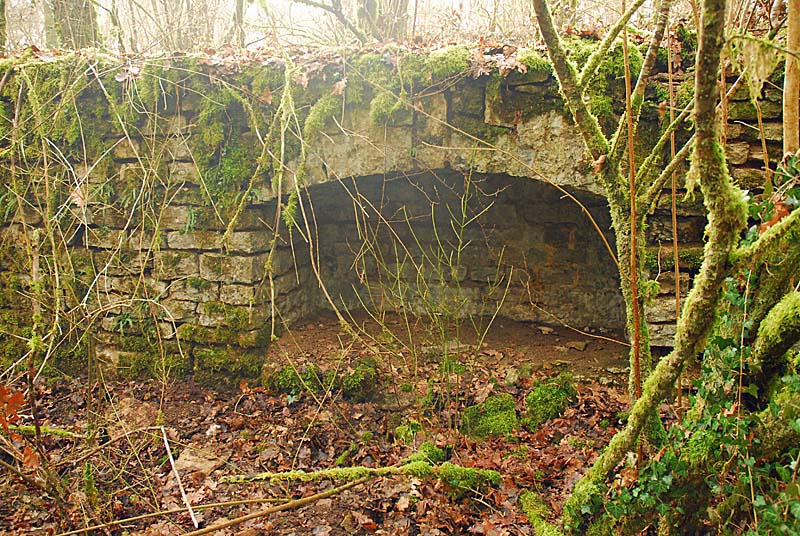 Ouvrage du bois de Champigny, Saints-Geosmes - photo 33
